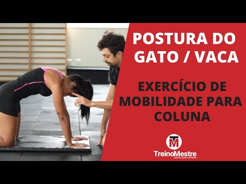 Postura do Gato/Vaca (Mobilidade de coluna)