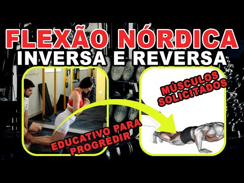 Flexão Nórdica (inversa e reversa): Como fazer e ir progredindo aos poucos!