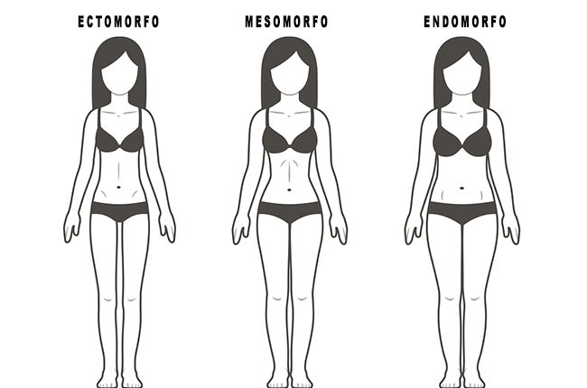 endomorfo feminino mulheres