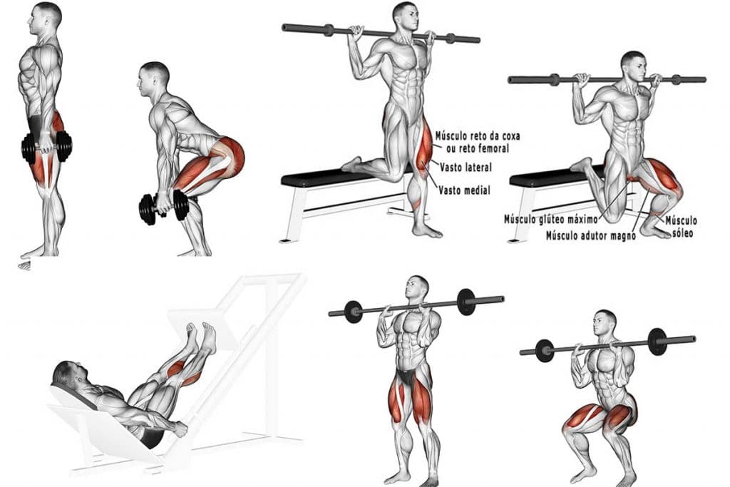 quadríceps exercícios treino