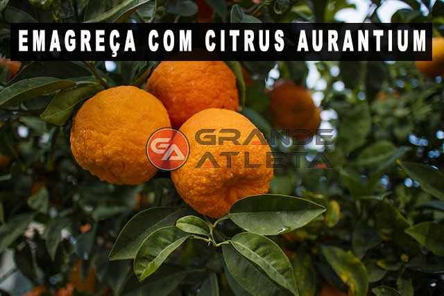 Citrus Aurantium