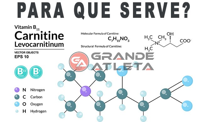 Vitamina B11 Fórmula Estrutura química Carnitina