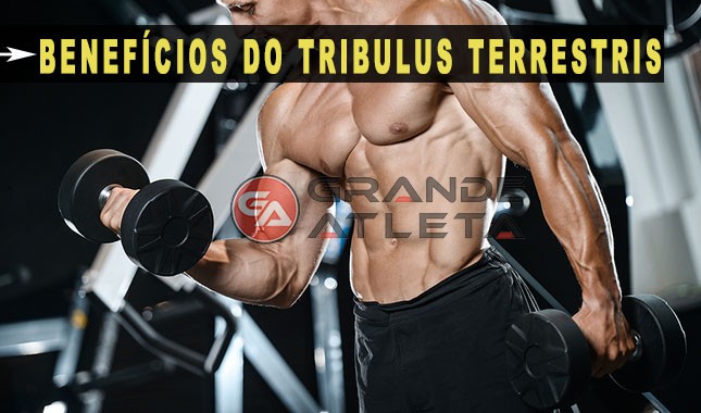benefícios testosterona libido benefícios testosterona libido