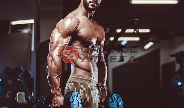 intermediário avançados Treino ABCD