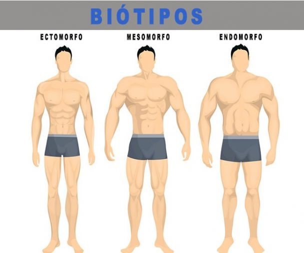 Endomorfo - Dicas De Dieta E Treinos (Muito Mais Resultados)