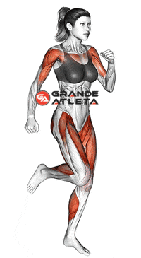 correr sem sair do lugar