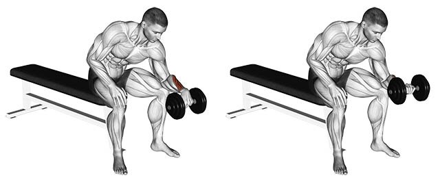 Extensão de punho halteres