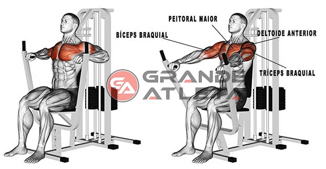 Supino inclinado: Execução, músculos e dicas para mais resultados!   Ejercicios musculares, Ejercicios para pectorales, Ejercicios de  entrenamiento con pesas