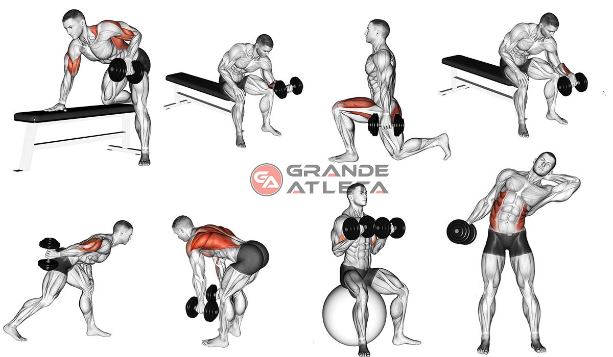 Exercicios