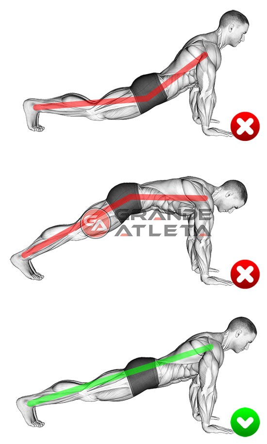 MuscleWiki - Supino Inclinado com Halteres em Posição Neutra - Ombros