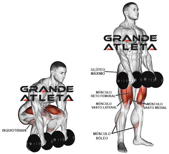 Agachamento Sumô: Para que Serve, Músculos Trabalhados e como Fazer