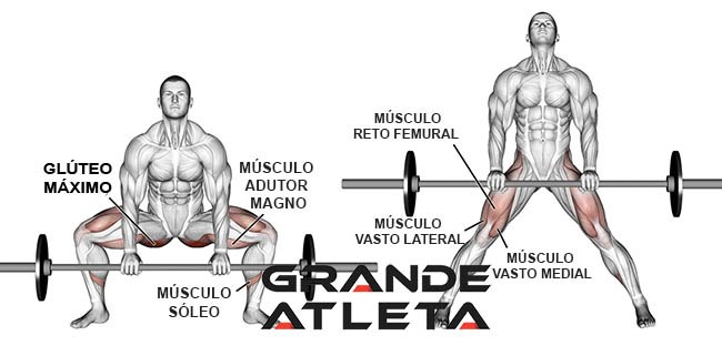 LEVANTAMENTO TERRA - O exercício que pega tudo! 