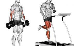 Musculação e aeróbico em periodos alternados