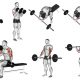 melhores exercícios para bíceps e antebraços