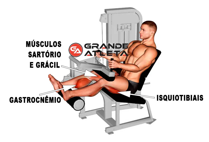 Opções de exercícios que uma pessoa pode fazer sentada na cadeira flexora