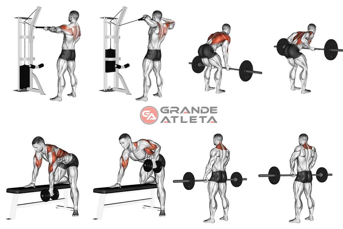 https://grandeatleta.com.br/wp-content/uploads/2020/05/exercicios-para-treino-de-costas-dorsais-trapezio.jpg