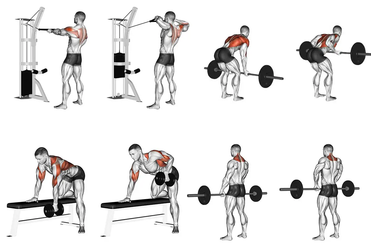 Exercicios para costas Body Building Musculação, sumo na barra fixa 