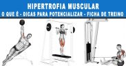 hipertrofia muscular