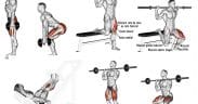 quadríceps exercícios treino