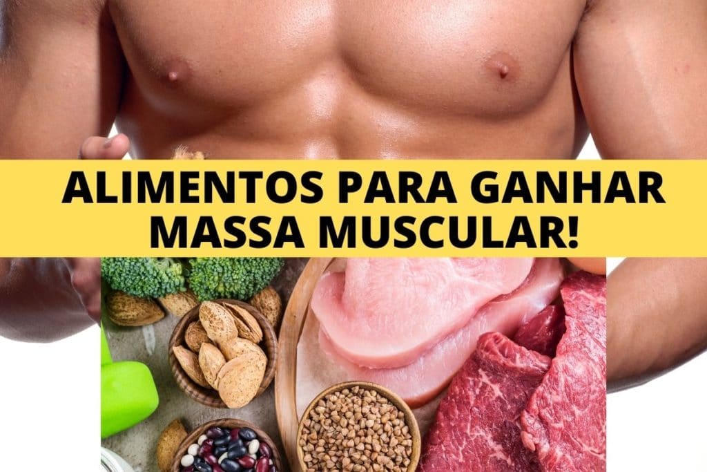 alimentos para ganhar massa muscular